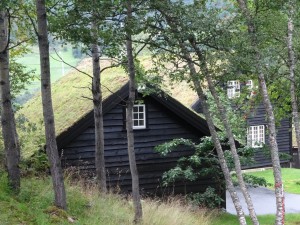 DSC00841