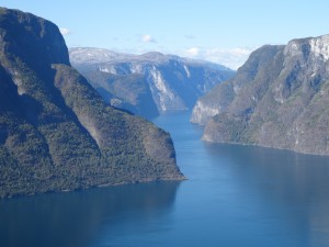 DSC00923