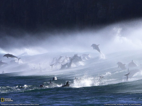 3594_1600x1200-wallpaper-cb1320173687