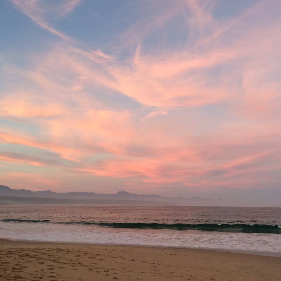 13428571_10208421999001416_7124093403205337087_n