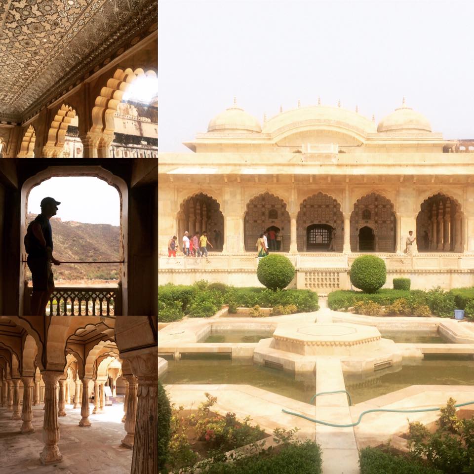 13510807_293154681027803_750428826494344663_n