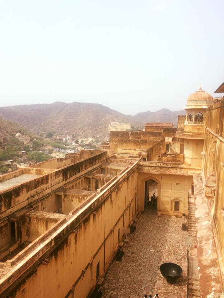 13537544_293155427694395_2523187868837994950_n