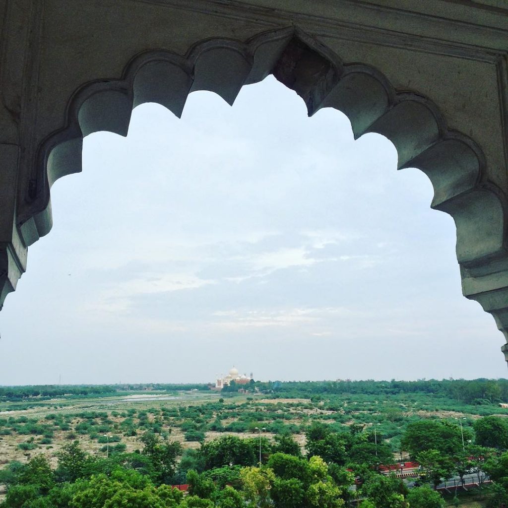 13549514_217881588610843_1525383155_n