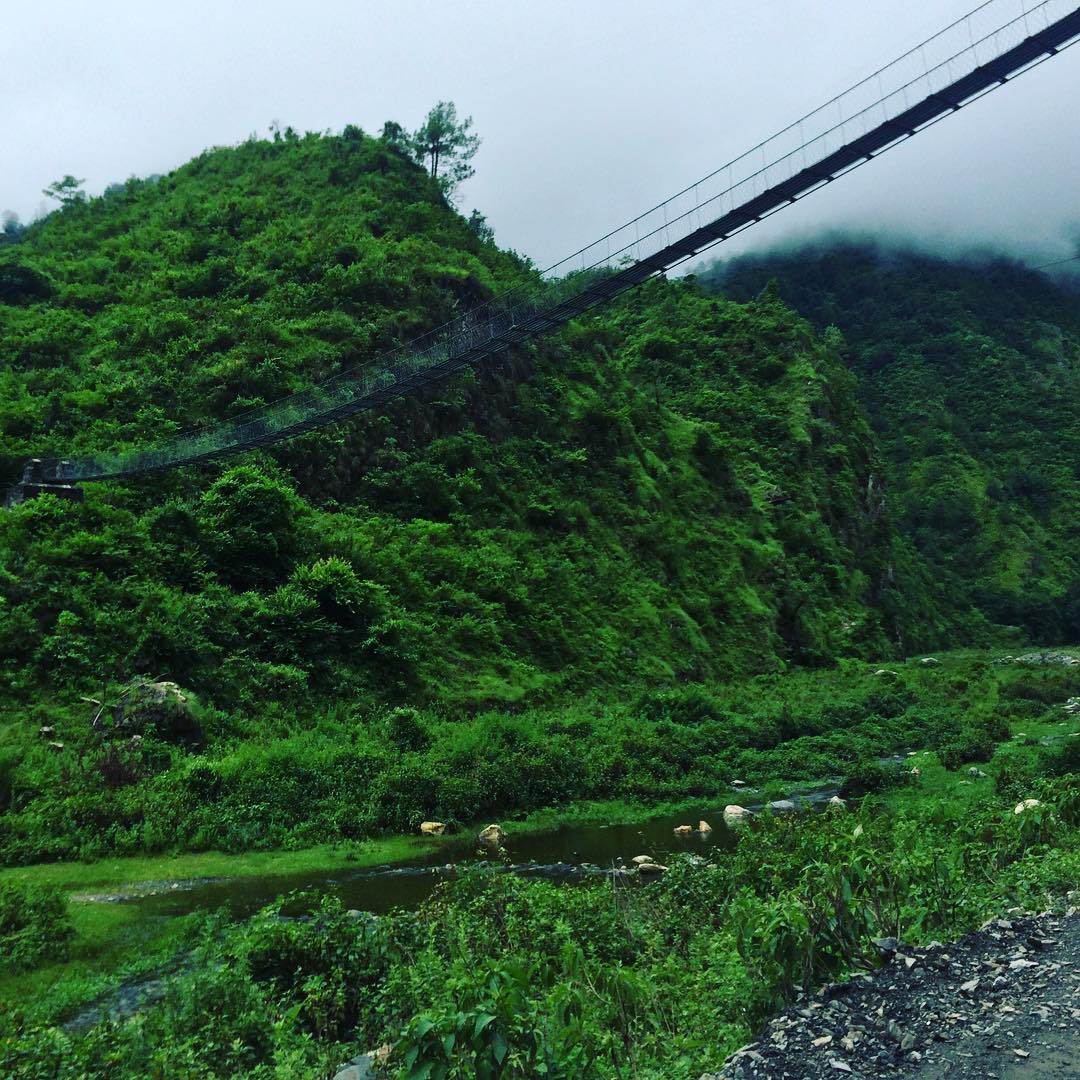 13627925_680632918753797_1072876545_n