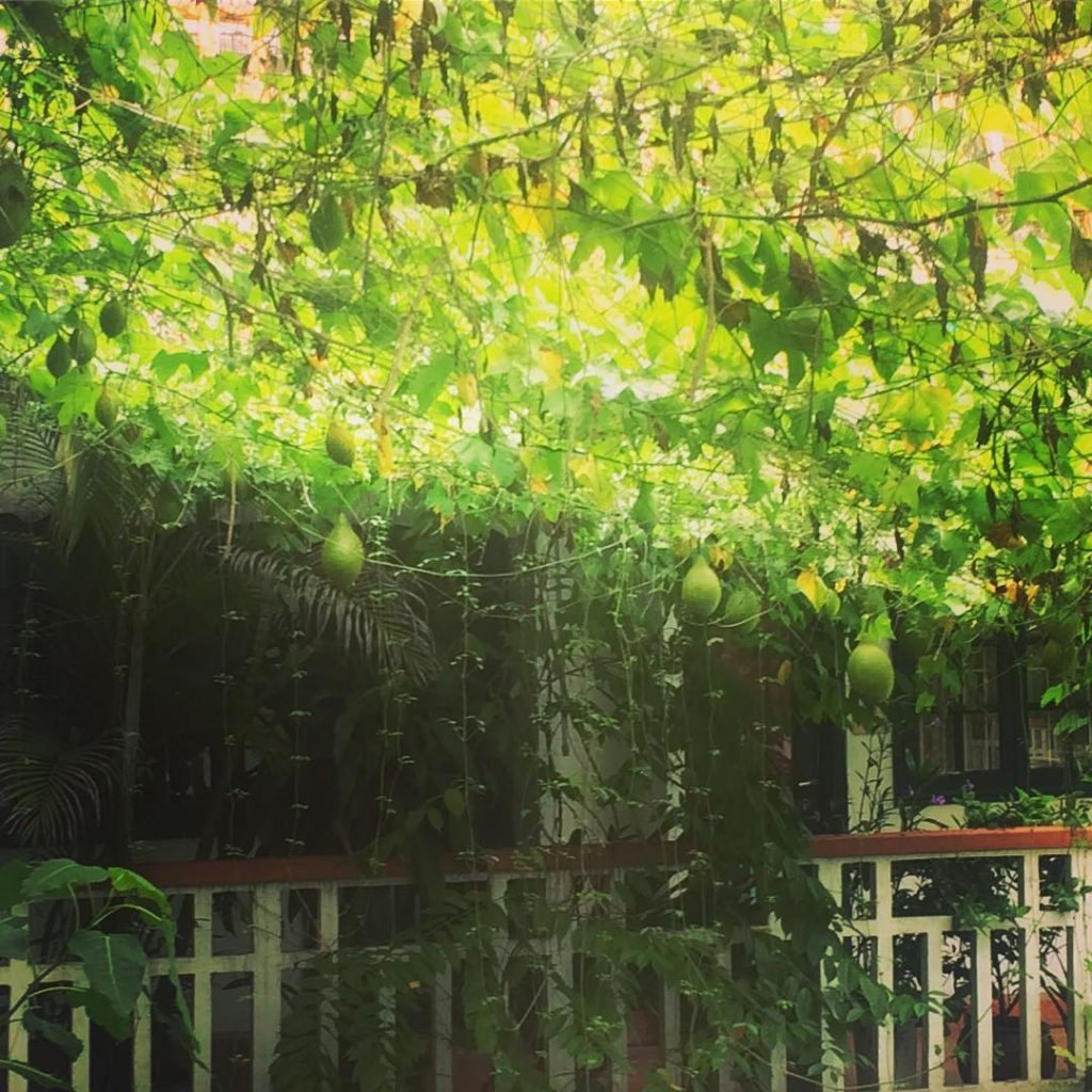 14134738_1683594708628662_345636247_n