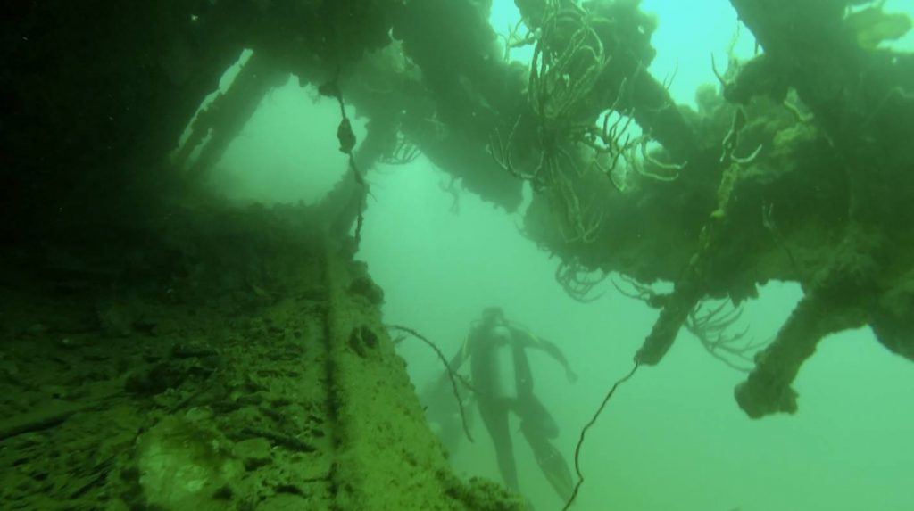 14434818_332521907091080_2107050436499258510_o