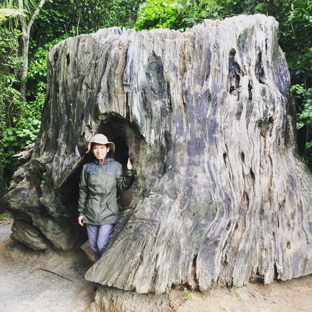 15101690_211095342664819_1849162027143004160_n