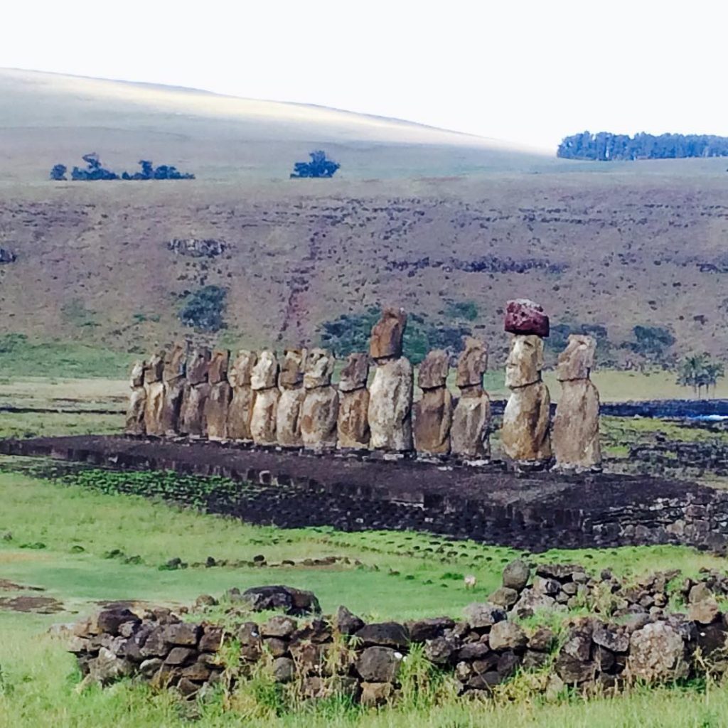 15275693_337032259999467_9062349993486057472_n